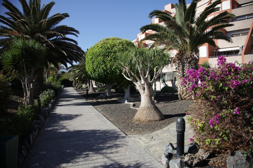 Apartamento El Cano Radazul Esterno foto